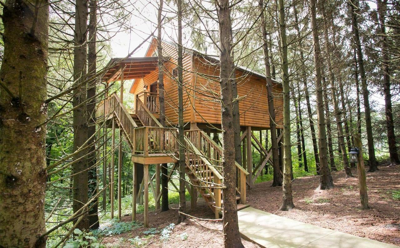 Whispering Pines Treehouse By Amish Country Lodging Millersburg Luaran gambar